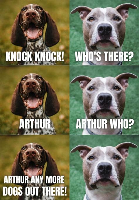 Top 10 Dog Knock Knock Jokes That Are Really Funny