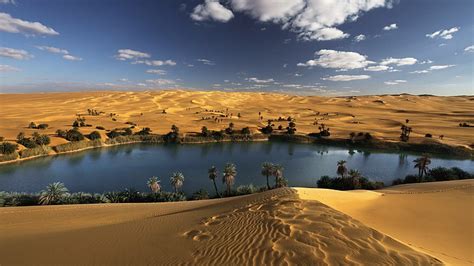 Hd Wallpaper Desert Landscape Oases Oasis Palm Trees Scenics