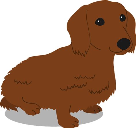 Dachshund Dog Clipart Free Download Transparent Png Creazilla