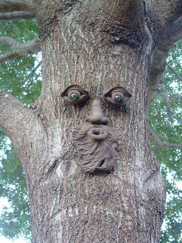 Tree Face Decorations For Your Outdoor Garden Spaces