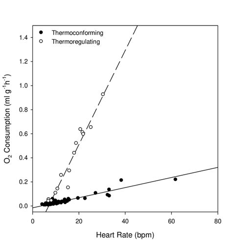 the relationship between heart rate hr and oxygen consumption in download scientific diagram