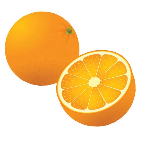 oranges vector art ai svg eps vector