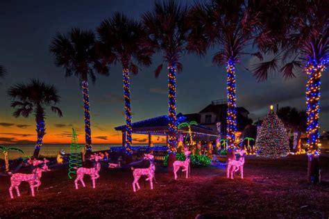 Happy Time In Florida Beutiful Christmas Photos From Florida