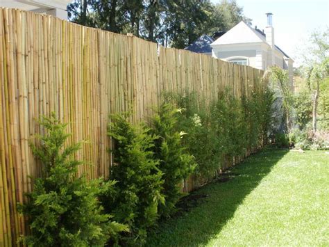 De hecho, la arquitectura moderna se vale del bambú chino para construir. decoracion de interiores con plantas cañas de bambu ...