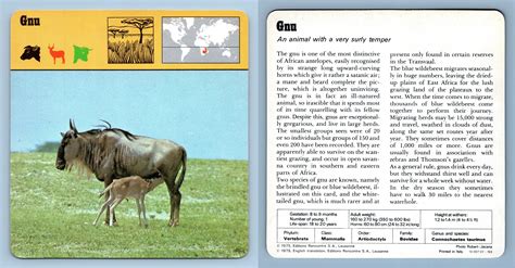 Gnu Mammals 1970s Rencontre Safari Wildlife Card