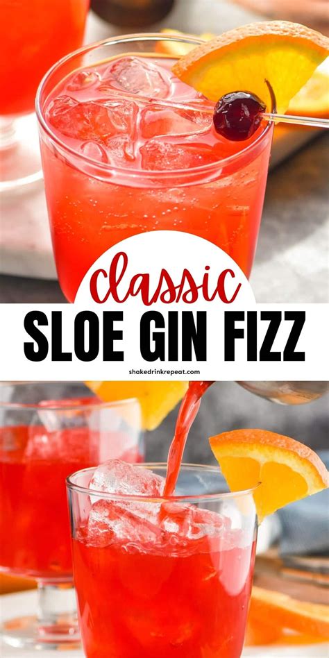 The Invigorating Fizz And Flavor Of Sloe Gin Lemon Juice Club Soda
