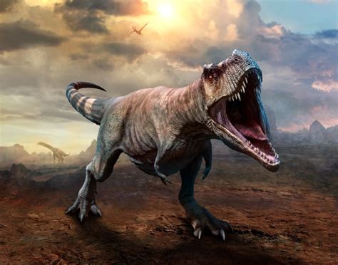 We serve people across three primary verticals: Dinosaurios: Tyrannosaurus Rex (Tiranosaurio), el mayor ...