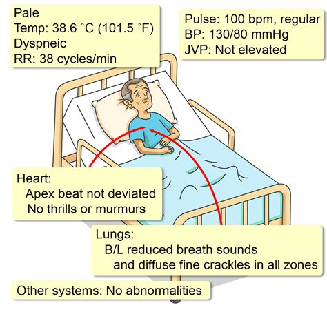 Acute Respiratory Distress Xn Interactive Case Study Clinical