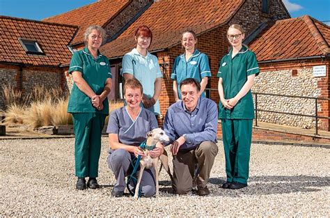 Ch equine clinics are a fun and exciting way to improve your and your horse's education. Anchorage Barn Vets, North Norfolk | Vetinary Clinic East ...