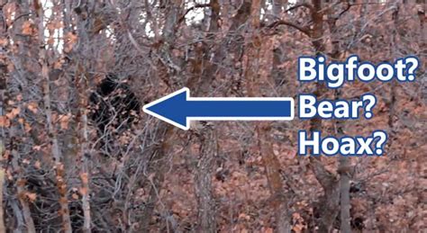 Utah Bigfoot Sighting Goes Viral