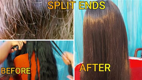 Update 81 Hair Remedies For Split Ends Ineteachers