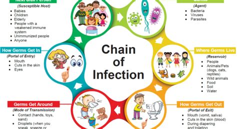 How To Break The Chain Of Infection Get Education