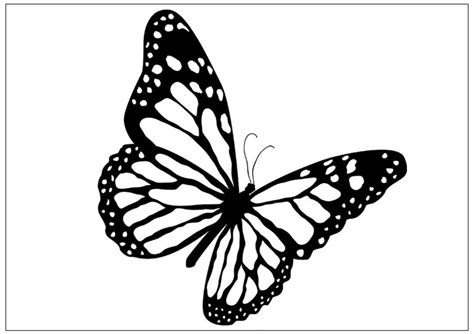 Monarch Butterfly Tattoo Outline Kym Hemphill