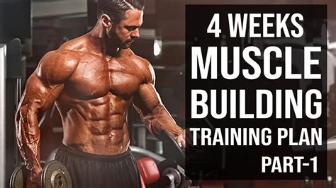 4 Weeks Muscle Building Training Plan Part 1 Youtube