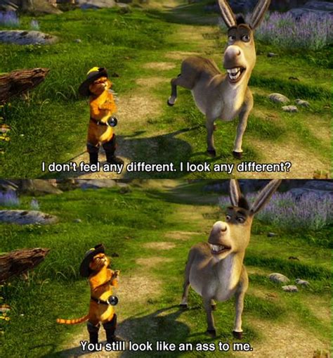 Lol Donkey Shrek Quotes Dreamworks Movies Disney Comebacks