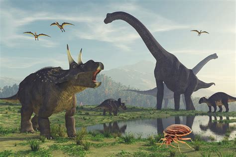 How Did Dinosaurs Die Dinosaurs Extinction History Journalhow | Images