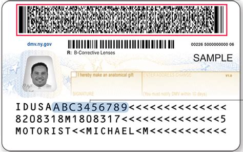 Drivers License Barcode Information Digitalword