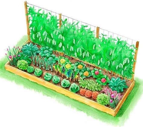 Maximizing Your Outdoor Space With Raised Bed Vegetable Garden Plans