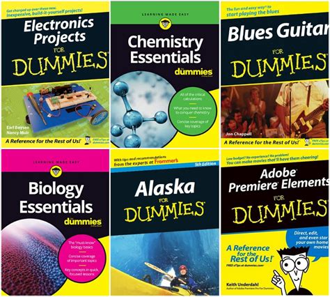20 For Dummies Series Books Collection Pack 4 Desimasty