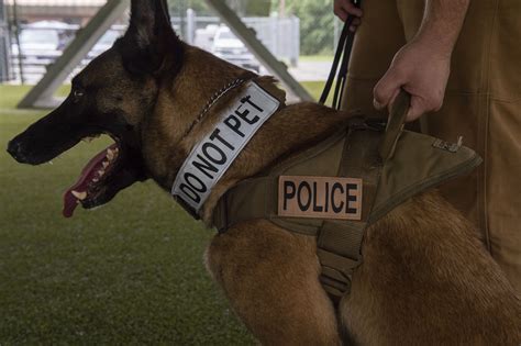 K 9 Handler Achieves Dream Expands Mwd Knowledge Moody Air Force