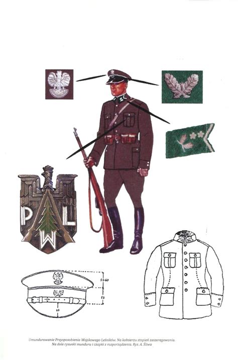 The Great Lexicon Of Polish Weapons 1939 Preparatory Military Training