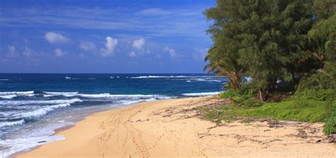 Secluded Kauai Hawaii Beach Panorama Scenic Stock Photo Download