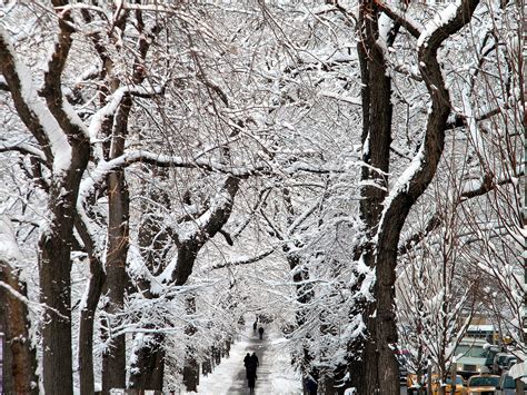 Winter Snow Storm New York City Public Domain Clip Art Photos And Images