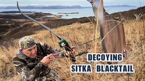 Decoying A Sitka Blacktail Deer On Kodiak Island Youtube