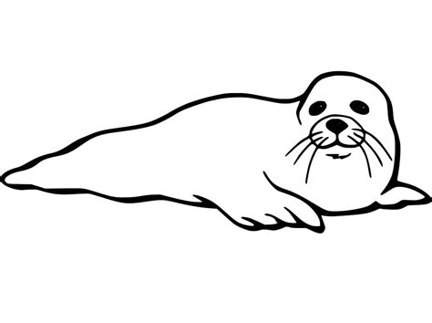 Monk Seal Coloring Page Free Printable Coloring Pages For Kids