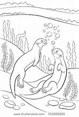 Otter Coloring Pages Sea Baby Getdrawings Animal Printable Getcolorings sketch template
