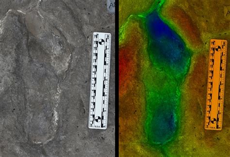 Ancient Human Footprints Suggest Ancestors Divided Labour Archaeology
