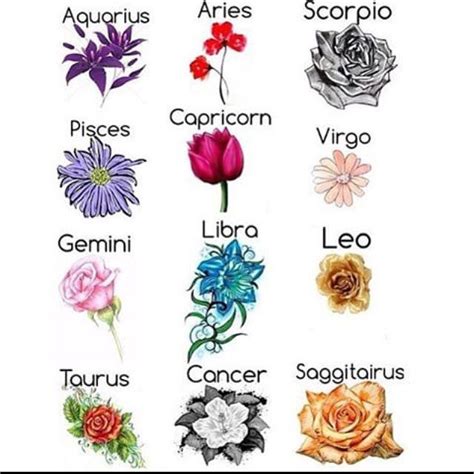 April Flower Horoscope Flower Information