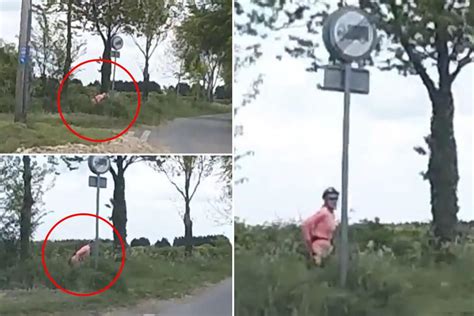 Lady Cyclist Caught Having A Sneaky Roadside Pee By Cars Dashcam