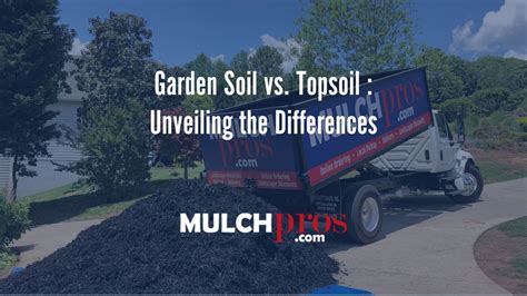 Top Soil Vs Garden Soil Whats The Difference