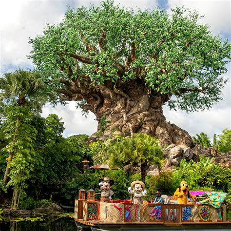 Disneys Animal Kingdom Orlando 2023 Qué Saber Antes De Ir Lo Más