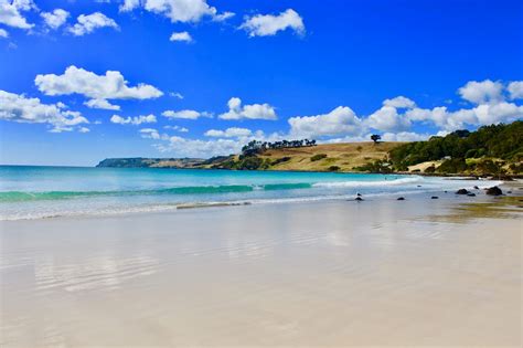 The Ravenous Duck My Favourite Beaches In Tasmania