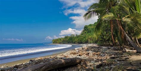 8 Reasons To Visit Dominical Costa Ricas Hidden Gem Beach Town