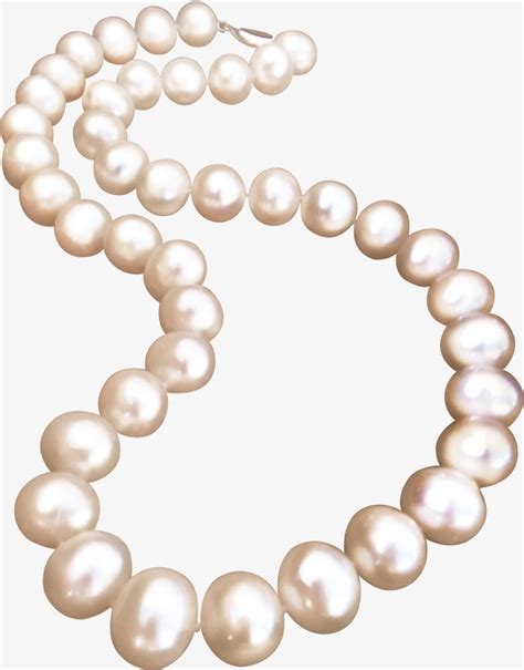 Clipart Pearls 10 Free Cliparts Download Images On Clipground 2024