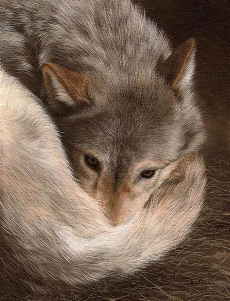 Grey Wolf Painting Art Print By Rachel Stribbling Most Beautiful