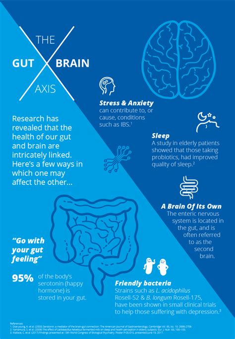 Gut Brain Axis Probiotics Learning Lab By Optibac Gut Brain Gut