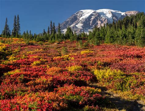 Peak Fall Foliage In Washington State