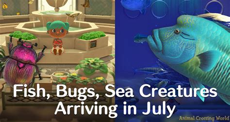 New Bugs Fish Sea Creatures In July For Animal Crossing New Horizons