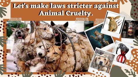 Petition · Lets Make Laws Stricter Against Animal Cruelty ·