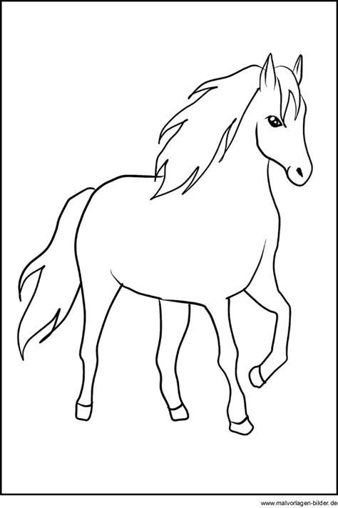 Check spelling or type a new query. Pferd - Window Color Vorlage zum Ausdrucken