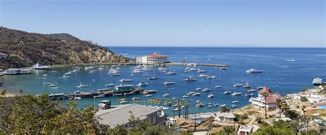 Catalina Island Caribbean Cruise Destinations Bolsover Cruise Club