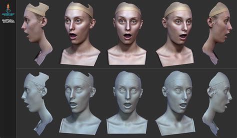 10 Anatomy For Sculptors 