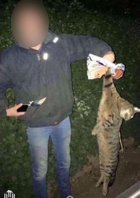 Students Brutally Kill Fox Badger And A Cat In Sick Uni Initiation