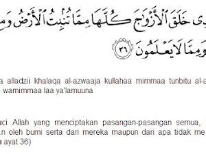 Inilah Cara Mengamalkan Surah Yasin Ayat 82 Aidah Murottal Quran