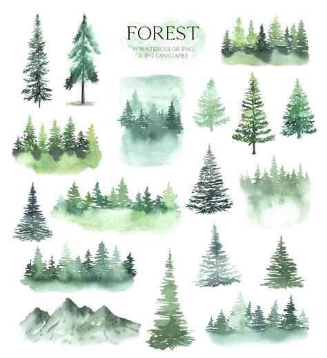 Watercolor Forest Tree Clipart Woodland Pine Trees