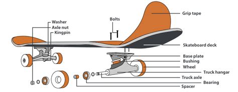 How To Pick Skateboard Parts Buyers Guide Skateboardershq